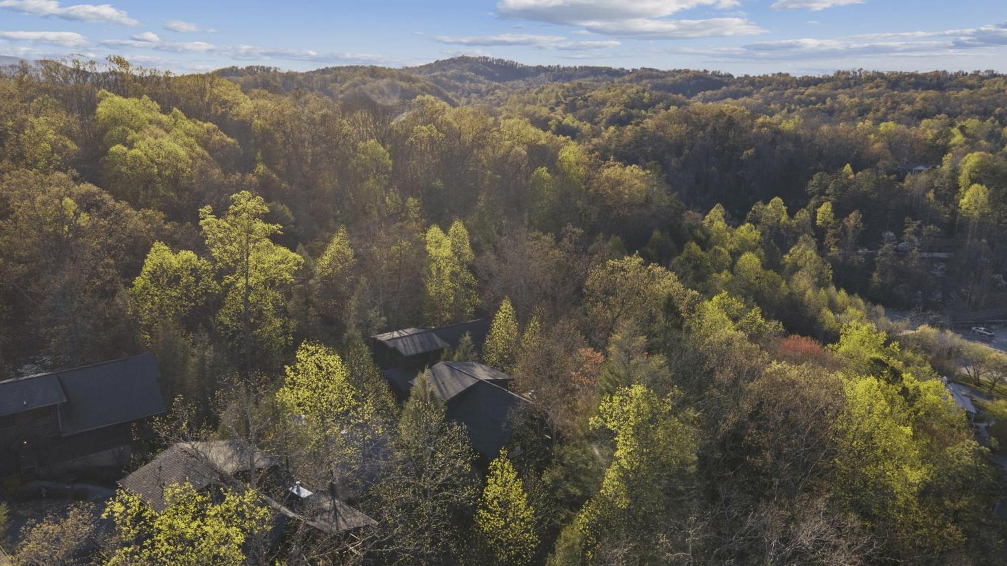 Stunning Mountain Cabin W Hot Tub Gatlinburg Exteriör bild